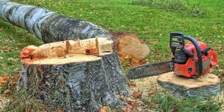 Best Lawn Grading and Leveling  in Asbury Park, NJ